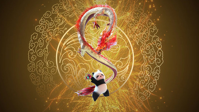 熊非熊萌熊戏金龙