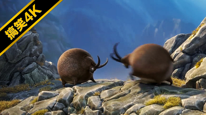 羚羊决斗~（超肥Q弹版）