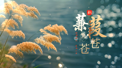 蒹葭苍苍文艺清新秋天芦苇枫叶