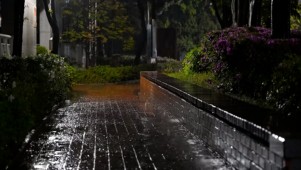 4K雨夜