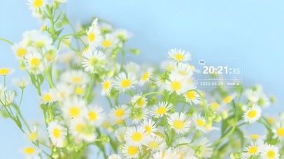 唯美治愈清新小雏菊