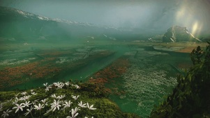 Black Garden
