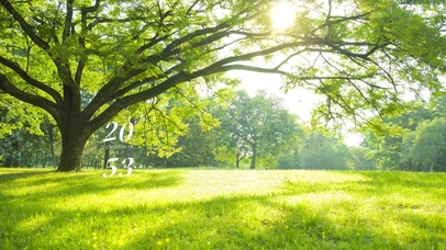 4k高清治愈阳光小清新