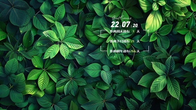 4k大自然清新护眼桌面