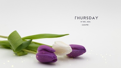 极简高级郁金香桌面