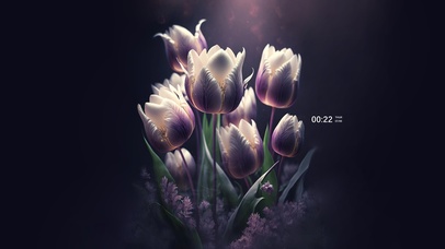 4k紫罗郁金香