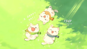 草地三只猫