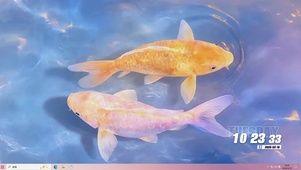 简约可爱小鱼桌面主题