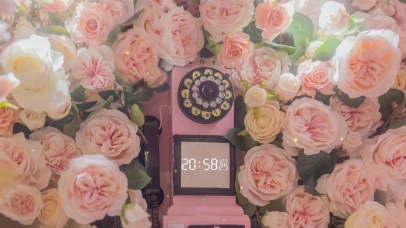  粉丝蔷薇花朵系列3