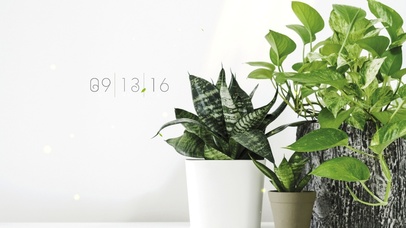 简约小清新4k电脑壁纸