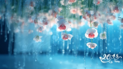 花雨