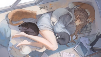 4K 猫咪少女午休