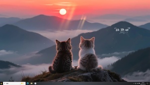 治愈 猫咪背影