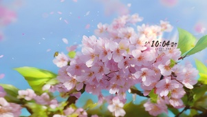 4k春天樱花