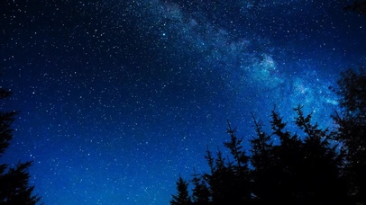 森林星空一