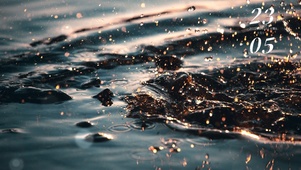 水花