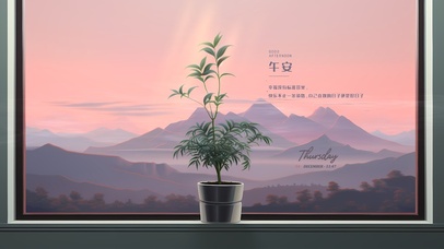 治愈绿植盆栽