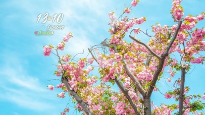 4k高清唯美风景