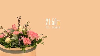 4k简约花卉系列
