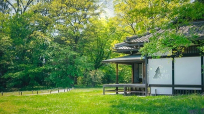 4k 治愈夏日绿林小屋