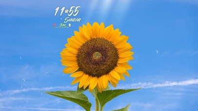 4k高清简约治愈系列