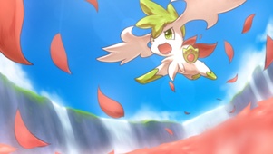 葛拉西蒂亚花田