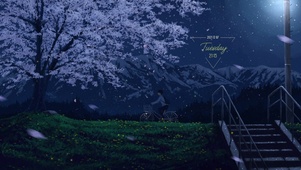 夜晚樱花树下男孩