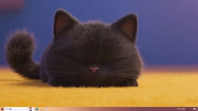 眨巴眨巴的小煤球