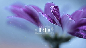 雨后治愈紫花