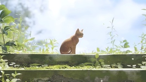 原野猫猫