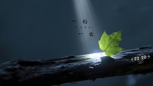 与光同尘
