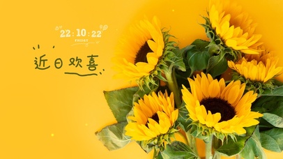 清新治愈向日葵桌面