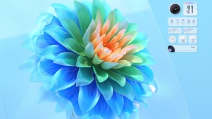 简约炫彩花