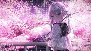 樱花雨