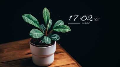 4k高清简约冷美系列