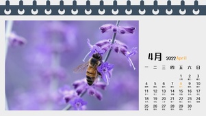 日历