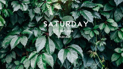 高级4k清新绿壁纸