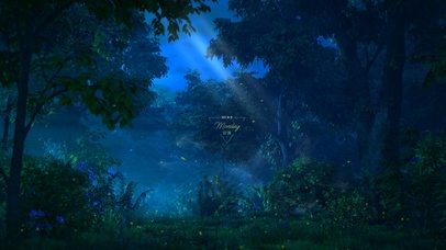 4k 治愈温馨夜晚宁静森林