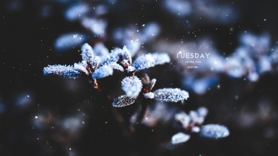 治愈唯美冬季雪花