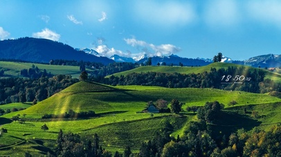 4K唯美治愈绿色山林