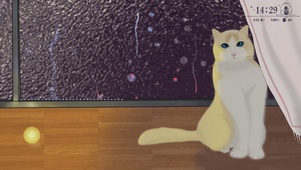 雨夜窗边猫咪