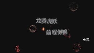龙腾虎跃