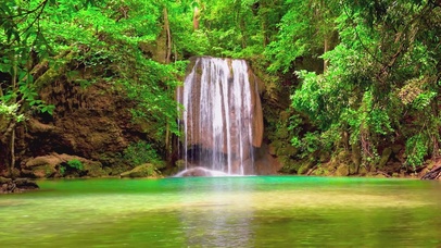 4K唯美治愈森林瀑布