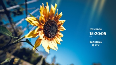 4k清新花卉风景桌面