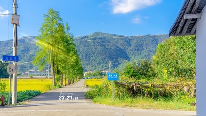 4K唯美治愈田野小路