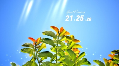 4k高清阳光温暖系列