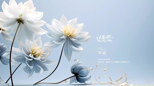 白兰花盛开