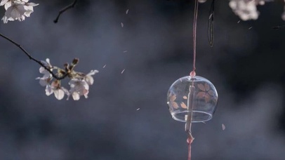 樱花树下的约定