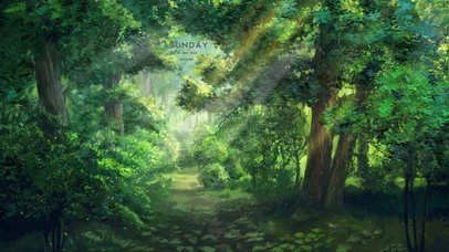 唯美森林幽静小路