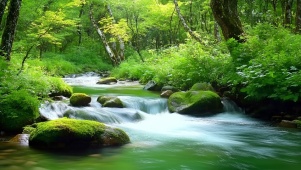潺潺溪流